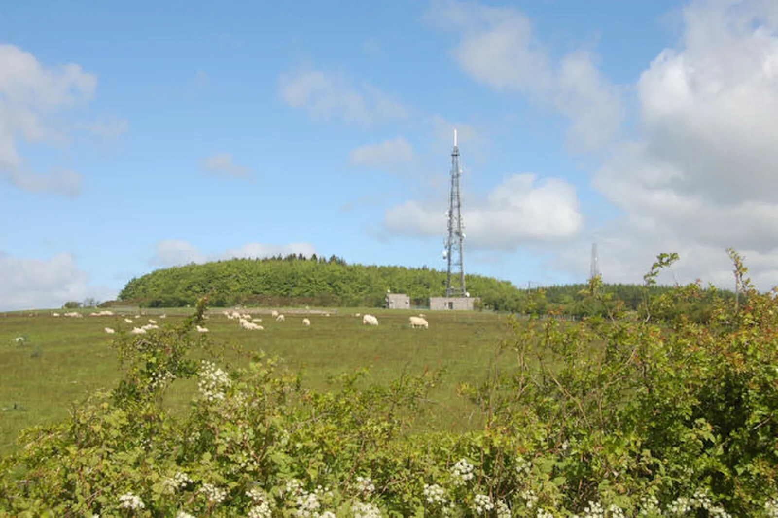 Beacon Ring